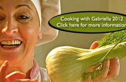 Gabriella Workshop 2012