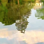 Into The Mystic_meditative & relaxing….